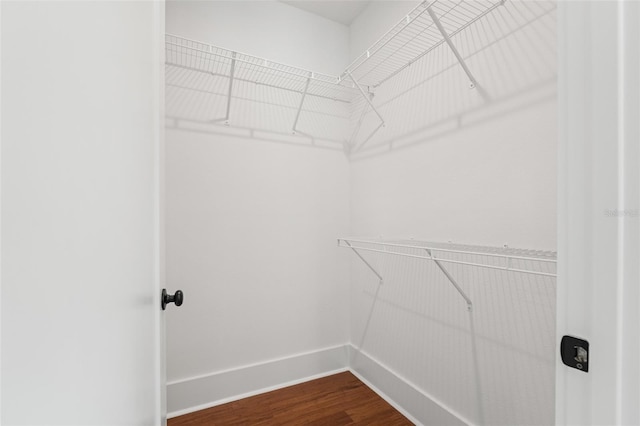 115 W Hiawatha St, Tampa, FL 33604 - photo 39