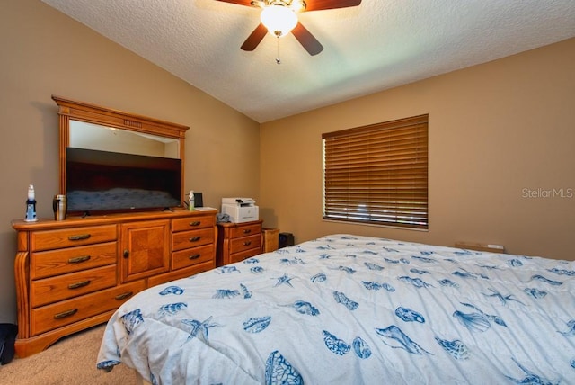 2175 Fox Chase Blvd, Palm Harbor, FL 34683 - photo 11