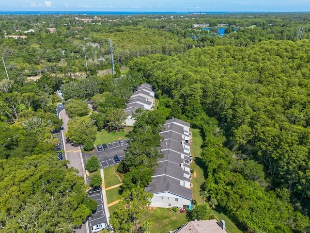 2175 Fox Chase Blvd, Palm Harbor, FL 34683 - photo 29