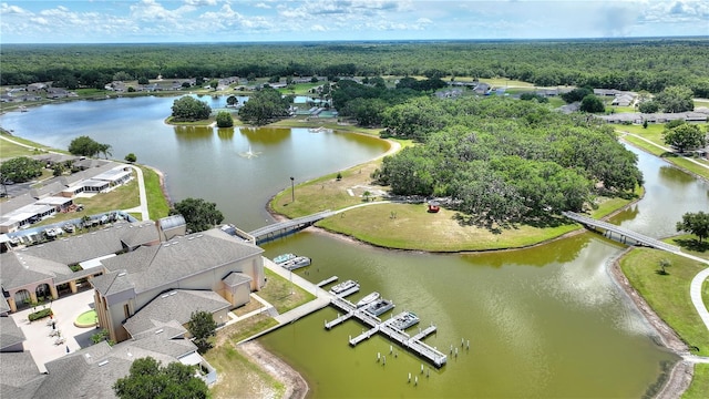 523 Club Cir, Lakeshore, FL 33854 - photo 40