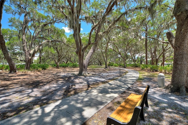 523 Club Cir, Lakeshore, FL 33854 - photo 66