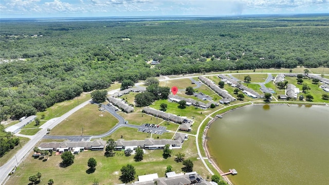 4603 Club Cir, Lakeshore, FL 33854 - photo 34