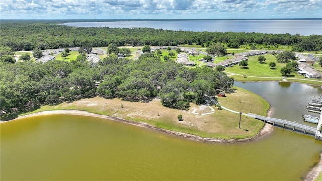 4603 Club Cir, Lakeshore, FL 33854 - photo 42