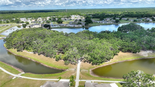4603 Club Cir, Lakeshore, FL 33854 - photo 44