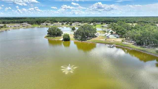 4603 Club Cir, Lakeshore, FL 33854 - photo 56