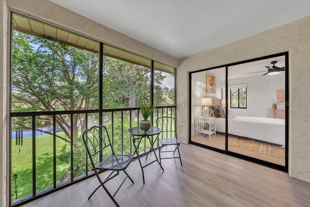 2681 Sabal Springs Cir Unit 204, Clearwater, FL 33761 - sunroom featuring a ceiling fan and a water view