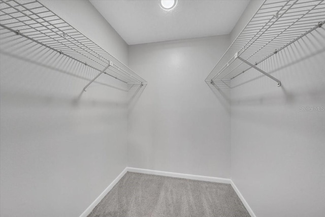 2681 Sabal Springs Cir Unit 204, Clearwater, FL 33761 - spacious closet featuring carpet