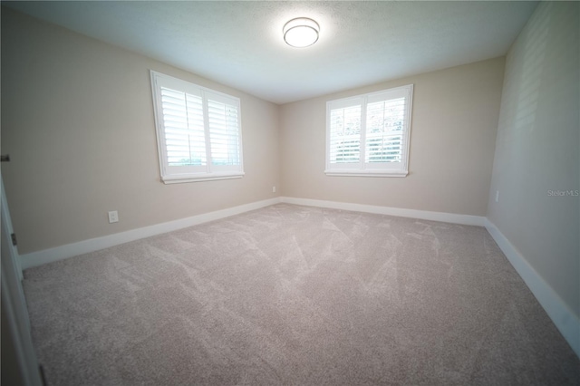 105 E N Branch Rd, Ruskin, FL 33570 - photo 24