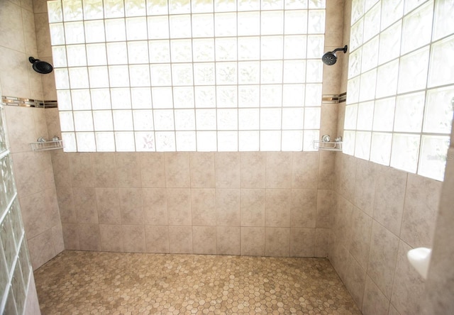 916 Bunker View Dr, Apollo Beach, FL 33572 - full bathroom with a tile shower