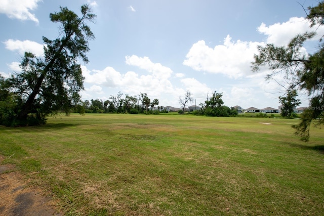 916 Bunker View Dr, Apollo Beach, FL 33572 - view of green lawn