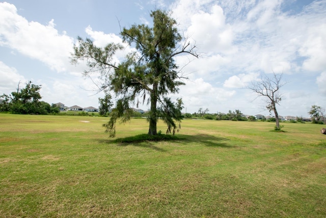916 Bunker View Dr, Apollo Beach, FL 33572 - view of grassy yard