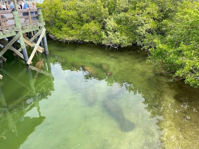 916 Bunker View Dr, Apollo Beach, FL 33572 - dock area featuring a water view