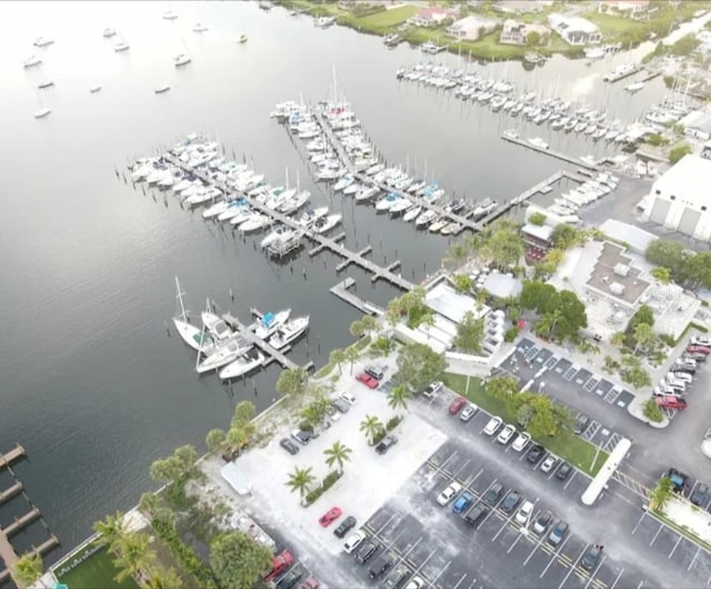 916 Bunker View Dr, Apollo Beach, FL 33572 - aerial view of numerous boat docks and a large body of water