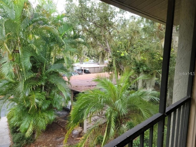 642 Bird Bay Dr E Unit 205, Venice, FL 34285 - view of yard