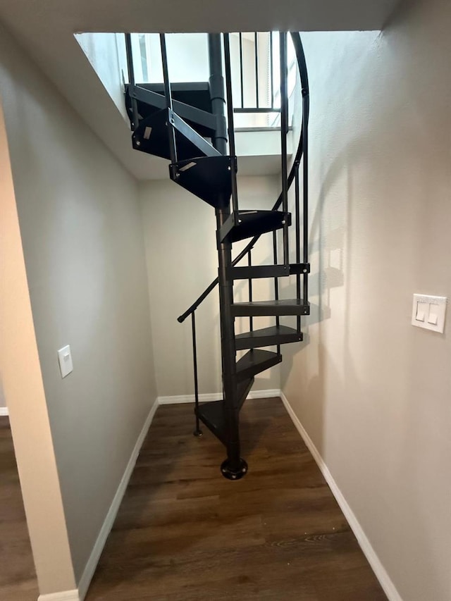 1512 7th St, Saint Cloud, FL 34769 - stairs with wood finished floors and baseboards