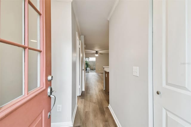3308 W Wyoming Cir, Tampa, FL 33611 - photo 10