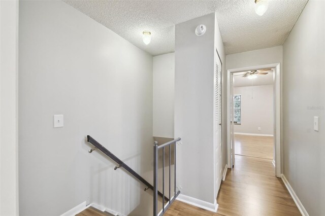 3308 W Wyoming Cir, Tampa, FL 33611 - photo 30
