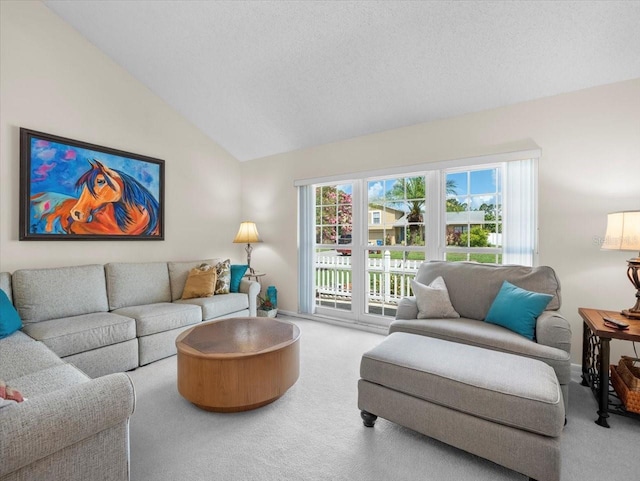 15711 Springmoss Ln, Tampa, FL 33624 - living area featuring carpet flooring and vaulted ceiling