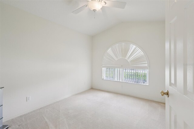 2625 Brookville Dr, Valrico, FL 33596 - photo 17