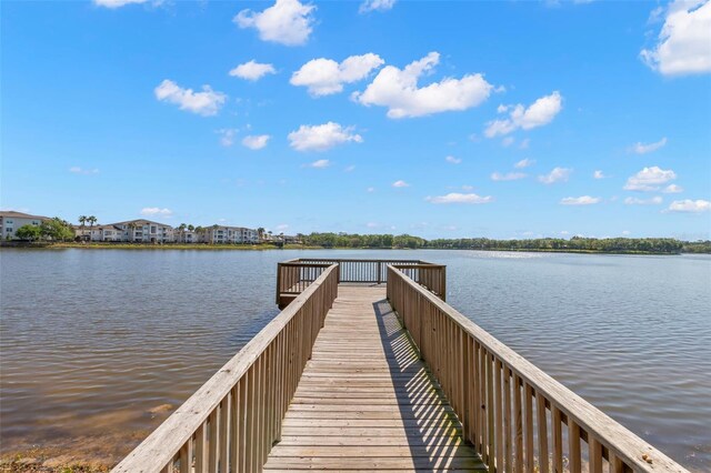 14617 Galt Lake Dr, Tampa, FL 33626 - photo 93