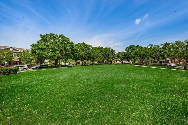 14617 Galt Lake Dr, Tampa, FL 33626 - photo 97