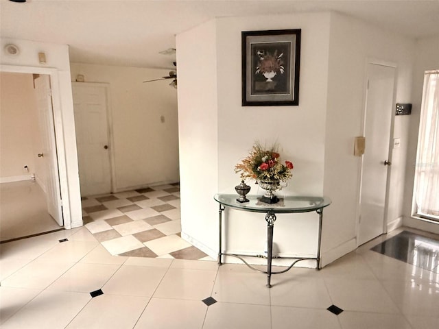 7031 Drury St, Tampa, FL 33635 - photo 5
