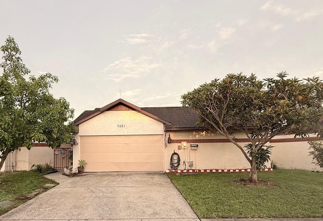 7031 Drury St, Tampa, FL 33635 - photo 1