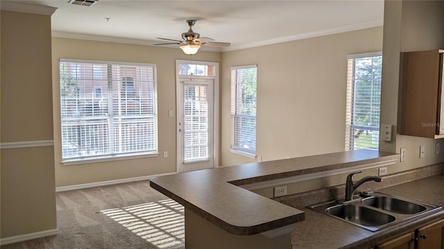 5000 Culbreath Key Way Unit 1-220, Tampa, FL 33611 - kitchen with a peninsula, dark countertops, a ceiling fan, light colored carpet, and crown molding