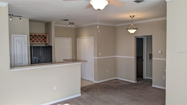 5000 Culbreath Key Way Unit 1-220, Tampa, FL 33611 - empty room featuring light carpet, ceiling fan, and ornamental molding