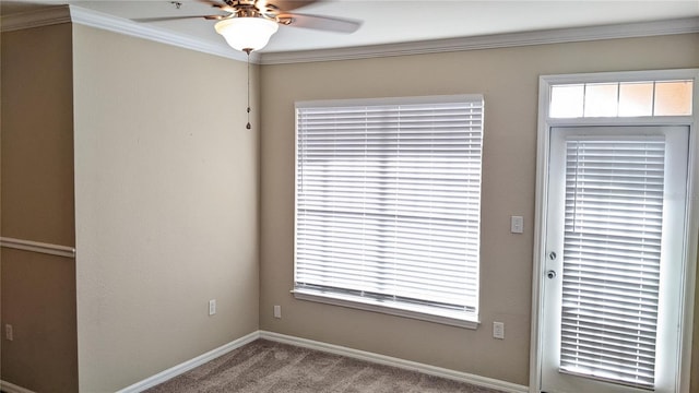 5000 Culbreath Key Way Unit 1-220, Tampa, FL 33611 - carpeted empty room featuring ceiling fan, crown molding, and plenty of natural light