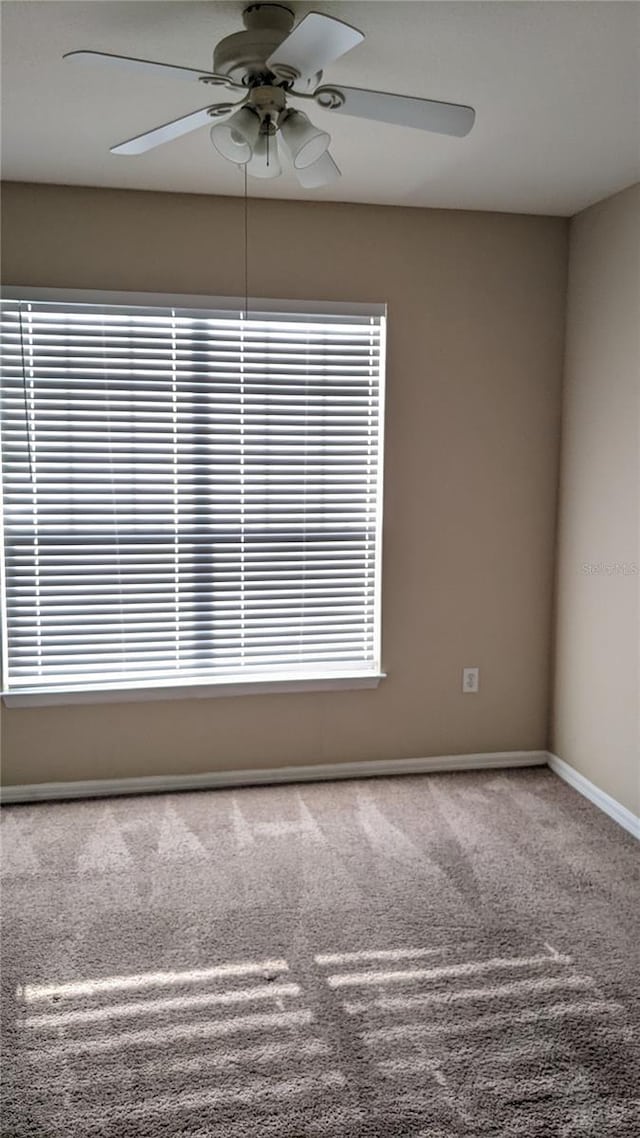 5000 Culbreath Key Way Unit 1-220, Tampa, FL 33611 - unfurnished room featuring ceiling fan and carpet floors