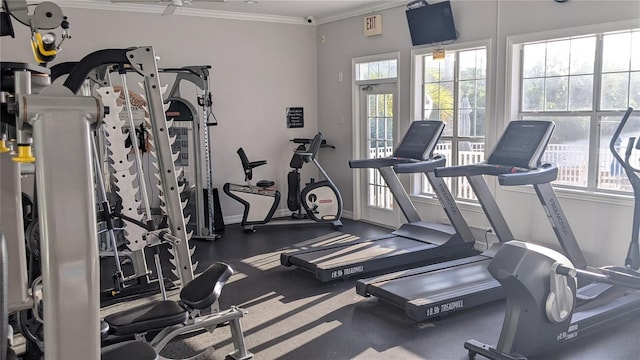 5000 Culbreath Key Way Unit 1-220, Tampa, FL 33611 - workout area featuring ornamental molding and baseboards
