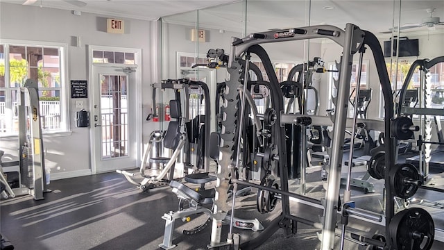 5000 Culbreath Key Way Unit 1-220, Tampa, FL 33611 - gym with a ceiling fan and ornamental molding