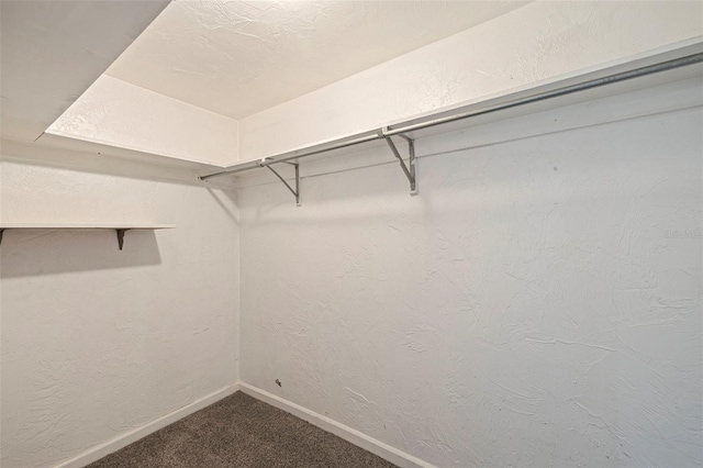 5690 82nd Ter N, Pinellas Park, FL 33781 - photo 18