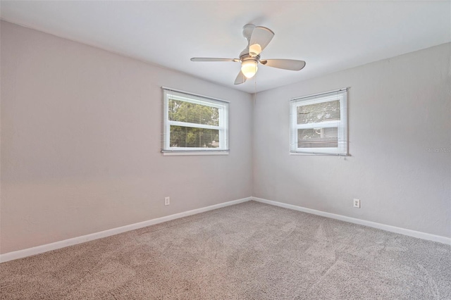 5690 82nd Ter N, Pinellas Park, FL 33781 - photo 24