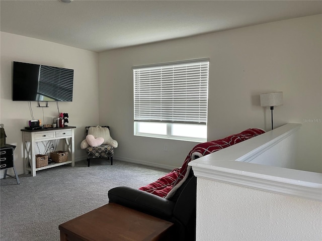 17807 Canopy Pl, Bradenton, FL 34211 - bedroom featuring carpet and baseboards