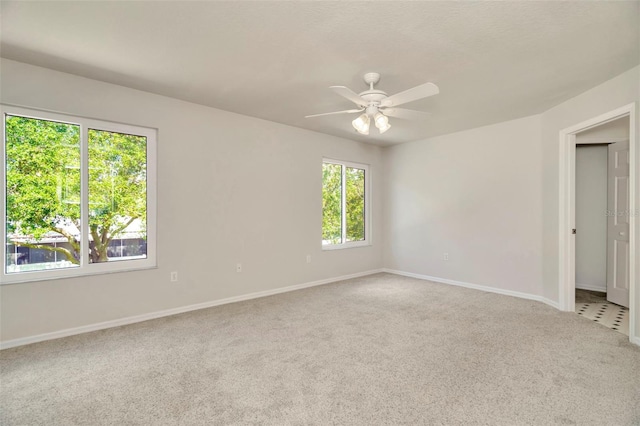 1734 Mapleleaf Blvd, Oldsmar, FL 34677 - spare room with carpet and a ceiling fan