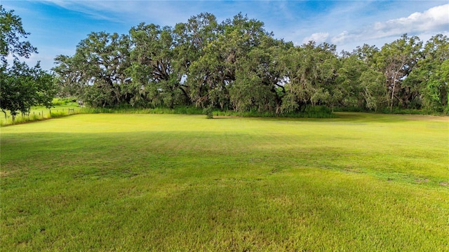 6728 Sutton Oaks Ln, Zephyrhills, FL 33541 - view of green lawn featuring golf course view and view of wooded area