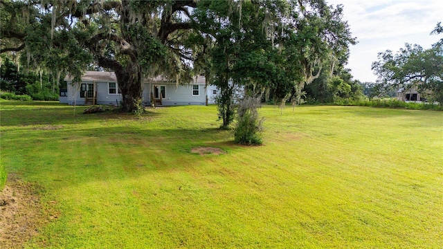 6728 Sutton Oaks Ln, Zephyrhills, FL 33541 - view of grassy yard
