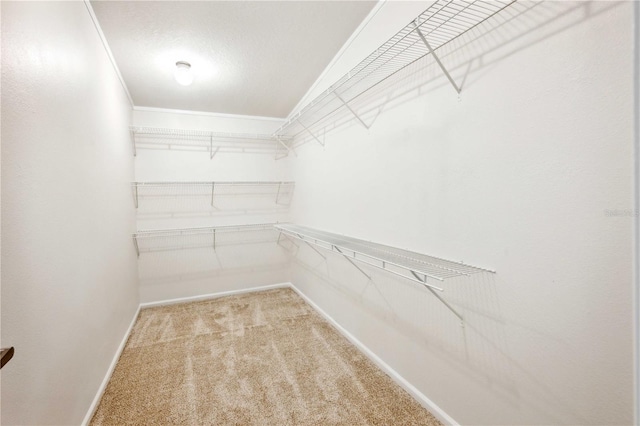 6728 Sutton Oaks Ln, Zephyrhills, FL 33541 - spacious closet with light colored carpet