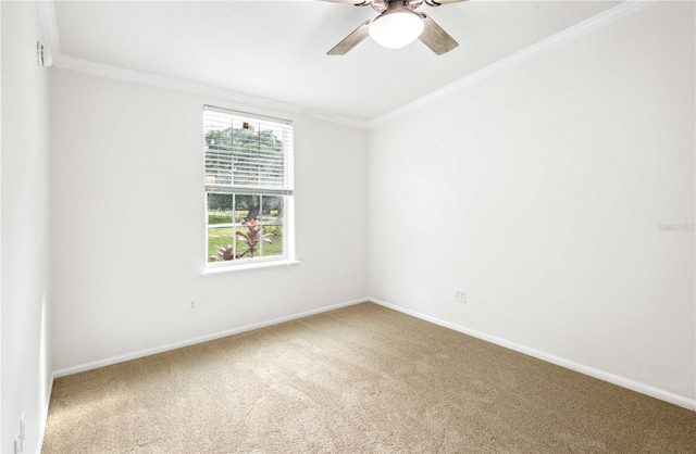 6728 Sutton Oaks Ln, Zephyrhills, FL 33541 - spare room featuring ornamental molding, carpet flooring, and a ceiling fan