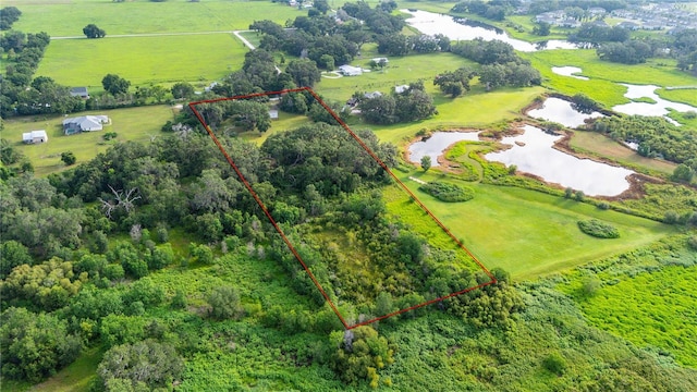 6728 Sutton Oaks Ln, Zephyrhills, FL 33541 - aerial view of sparsely populated area featuring a large body of water and property parcel outlined