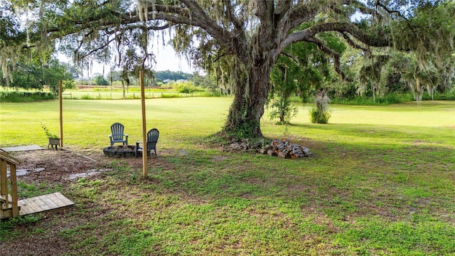6728 Sutton Oaks Ln, Zephyrhills, FL 33541 - view of grassy yard