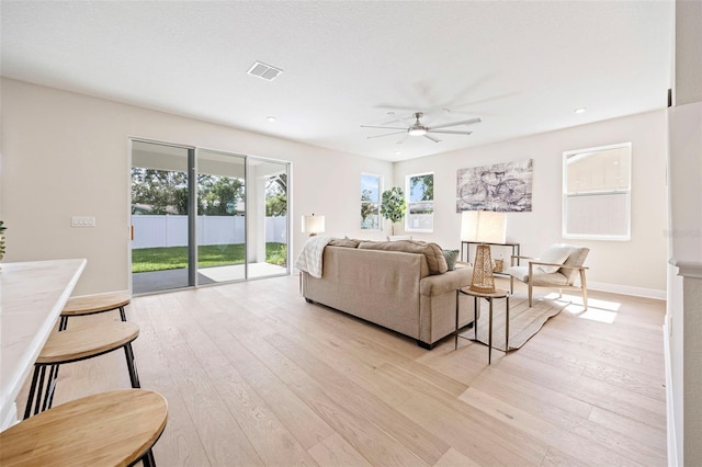 919 W Adalee St, Tampa, FL 33603 - photo 19