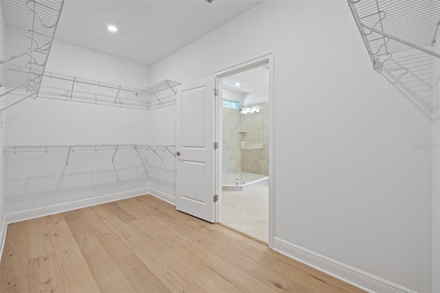 919 W Adalee St, Tampa, FL 33603 - photo 33