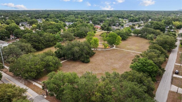 919 W Adalee St, Tampa, FL 33603 - photo 60