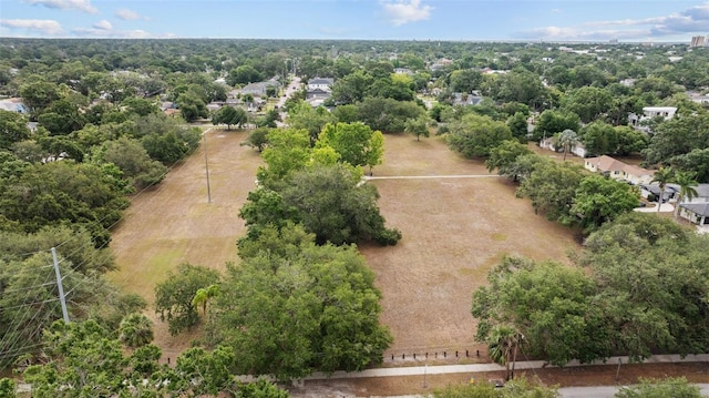 919 W Adalee St, Tampa, FL 33603 - photo 61