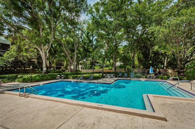 3062 Eastland Blvd Unit 308, Clearwater, FL 33761 - photo 42
