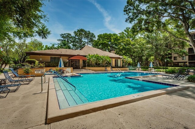 3062 Eastland Blvd Unit 308, Clearwater, FL 33761 - photo 43
