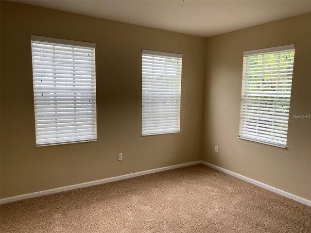 8320 Manor Club Cir Unit 4, Tampa, FL 33647 - photo 12